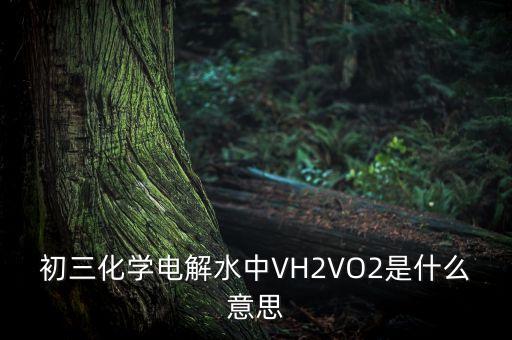 初三化學(xué)電解水中VH2VO2是什么意思