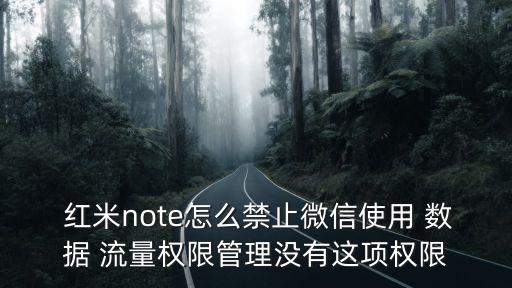 紅米手機禁用數(shù)據(jù)流量