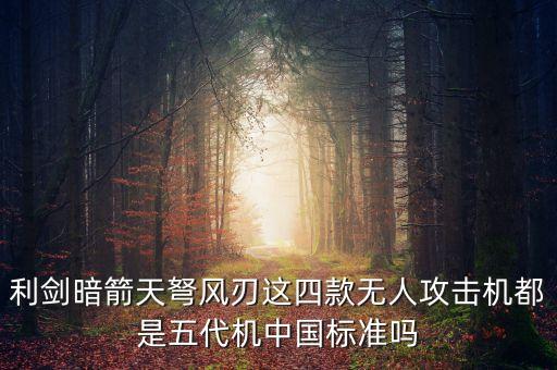 利劍暗箭天弩風(fēng)刃這四款無人攻擊機(jī)都是五代機(jī)中國(guó)標(biāo)準(zhǔn)嗎