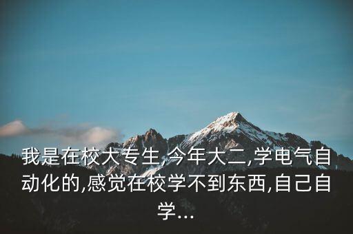 我是在校大專生,今年大二,學電氣自動化的,感覺在校學不到東西,自己自學...