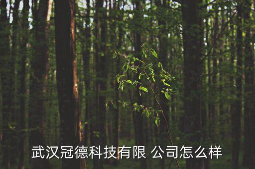 東湖自動化研發(fā)公司怎么樣