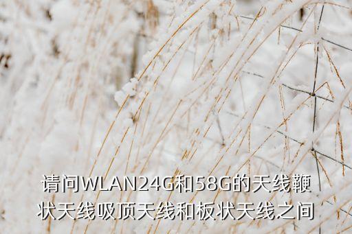 鞭狀天線，求科普現(xiàn)代軍艦煙囪上的那兩根是什么