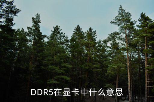 DDR5在顯卡中什么意思