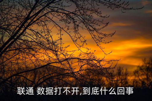中國聯(lián)通數(shù)據(jù)用不了