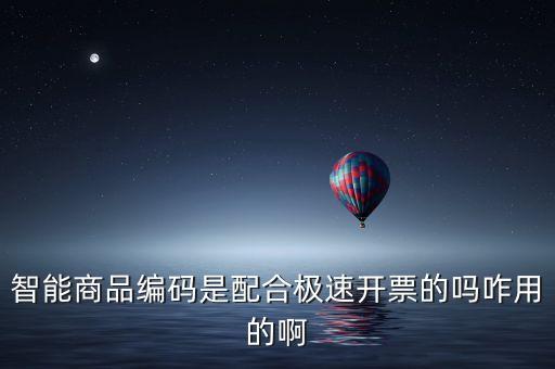 諾諾智能編碼，智能商品分類編碼做啥的啊