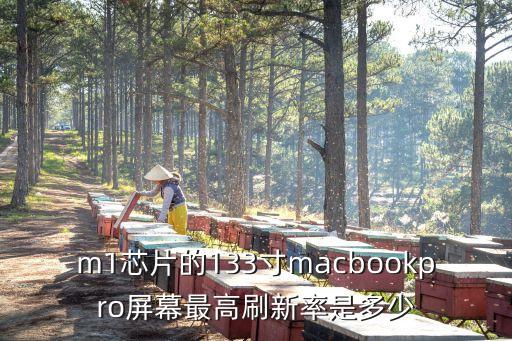 m1芯片的133寸macbookpro屏幕最高刷新率是多少