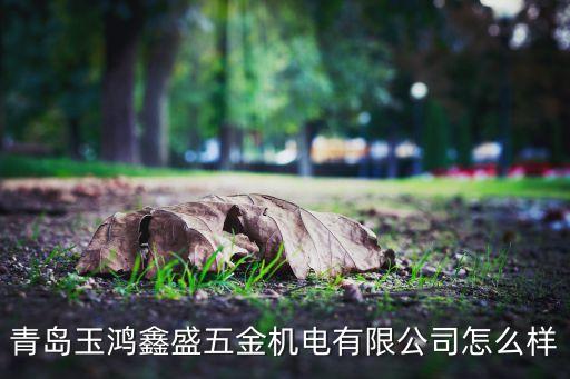 山東鑫盛自動(dòng)化有限公司,化工設(shè)備安裝公司有哪些?