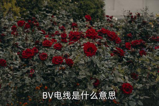 BV電線是什么意思