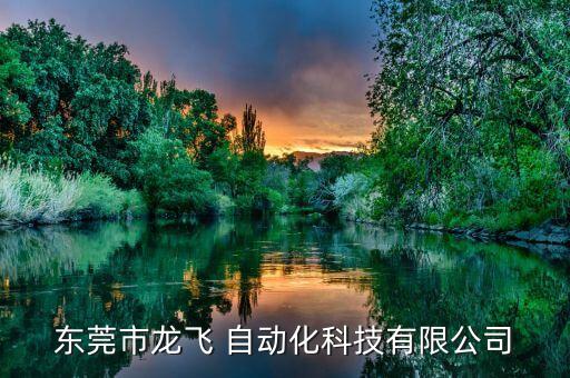 東莞市龍飛 自動(dòng)化科技有限公司