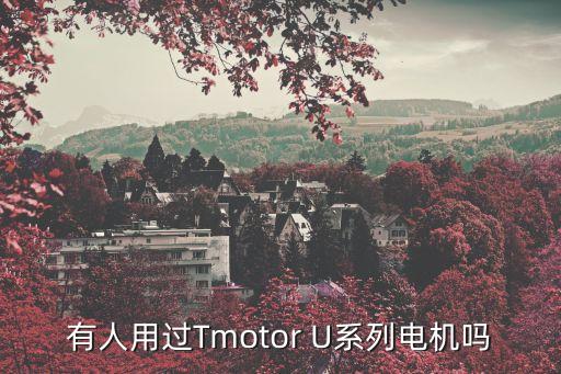 有人用過Tmotor U系列電機嗎