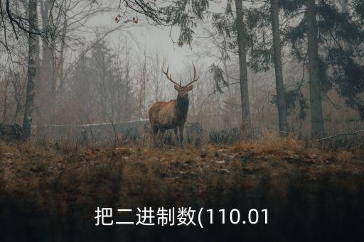 把二進制數(shù)(110.01