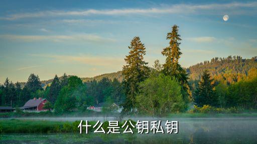 什么是公鑰私鑰