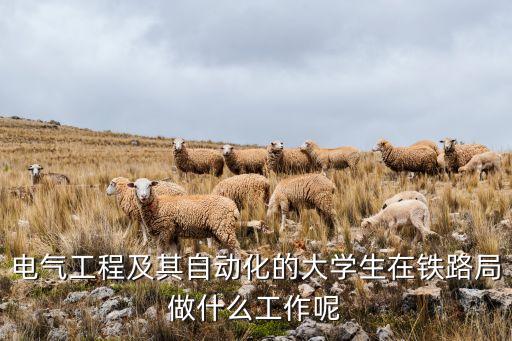 電氣工程及其自動(dòng)化的大學(xué)生在鐵路局做什么工作呢