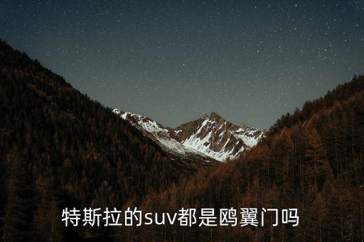 特斯拉的suv都是鷗翼門(mén)嗎
