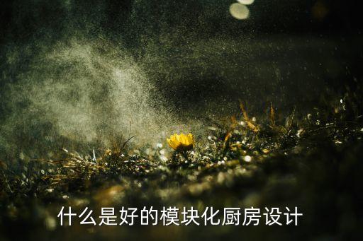 模塊化設(shè)計(jì)，什么是模塊化設(shè)計(jì)思想具體做法有那些