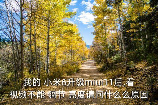 我的 小米6升級miui11后,看視頻不能 調(diào)節(jié) 亮度請問什么么原因