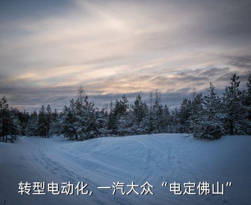 轉(zhuǎn)型電動(dòng)化, 一汽大眾“電定佛山”