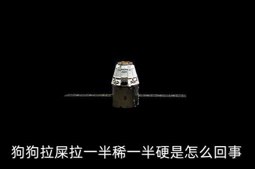 狗墊自動化包裝設備,狗咬自己尿墊怎么辦?