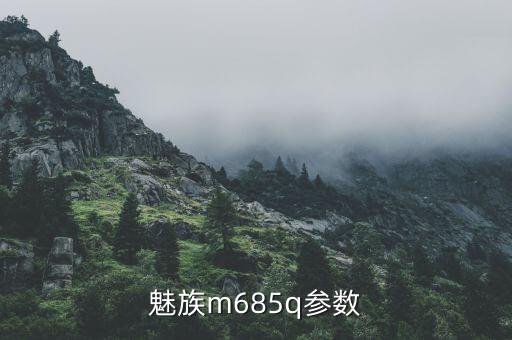 魅族m685q參數(shù)