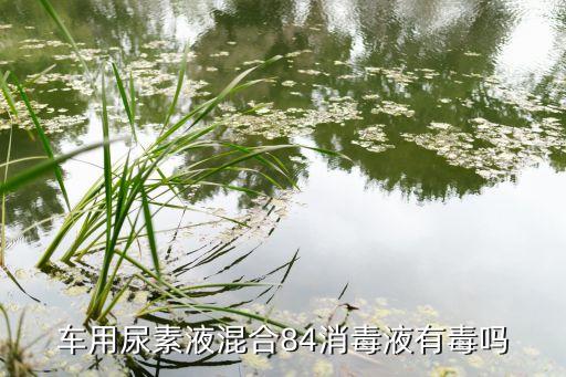 車用尿素液混合84消毒液有毒嗎