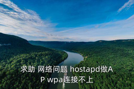 求助 網(wǎng)絡(luò)問題 hostapd做AP wpa連接不上