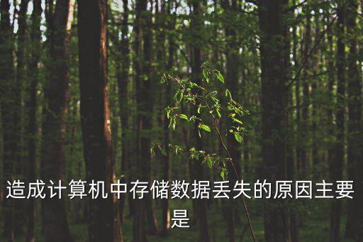 造成計(jì)算機(jī)中存儲(chǔ)數(shù)據(jù)丟失的原因主要是