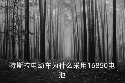 特斯拉電動車為什么采用16850電池