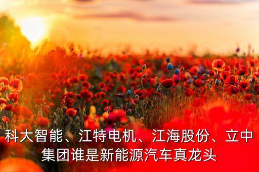 朗星新電自動(dòng)化有限公司,電氣自動(dòng)化能進(jìn)哪些國企?