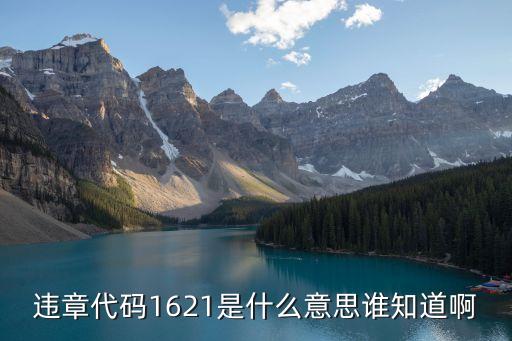違章代碼1621是什么意思誰知道啊