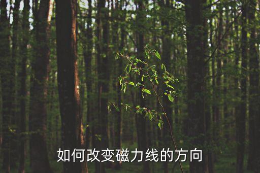 如何改變磁力線的方向