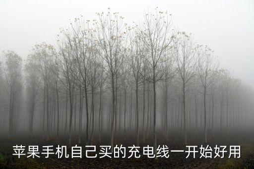 蘋果手機(jī)自己買的充電線一開始好用