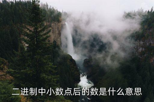 二進(jìn)制中小數(shù)點(diǎn)后的數(shù)是什么意思