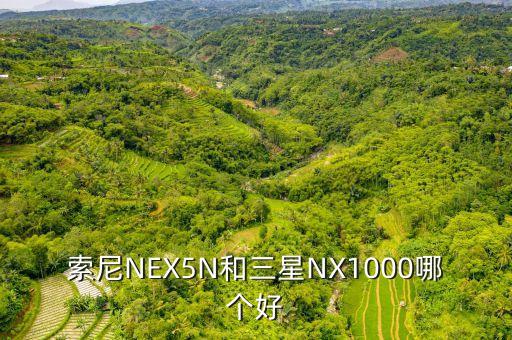 索尼NEX5N和三星NX1000哪個好