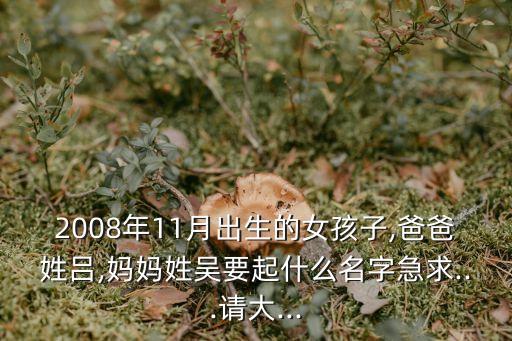呂曉剛,為何與呂麗萍離婚?原來(lái)是一箭雙雕!