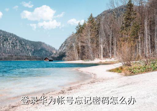 登錄華為賬號，登錄華為帳號忘記密碼怎么辦