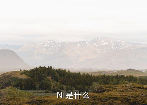 NI是什么