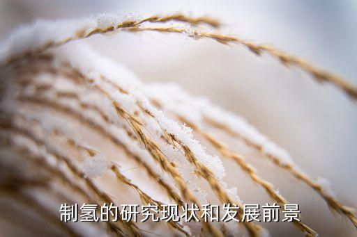 制氫的研究現(xiàn)狀和發(fā)展前景