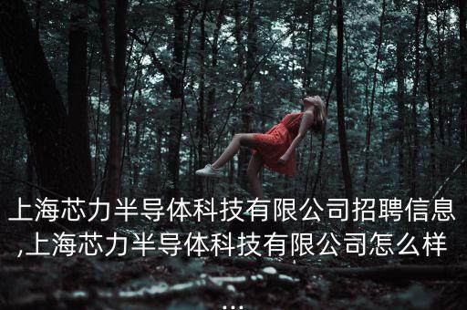 上海芯力半導(dǎo)體科技有限公司招聘信息,上海芯力半導(dǎo)體科技有限公司怎么樣...