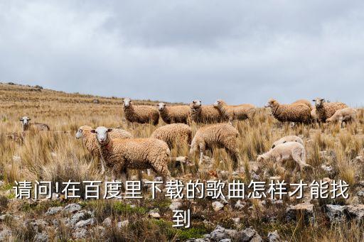 百度mp3搜索,怎么才找到百度mp3?