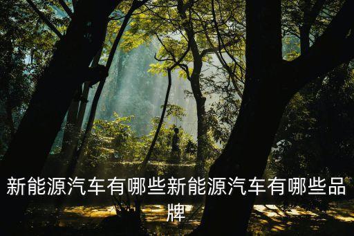 新能源車標(biāo)大全，國內(nèi)節(jié)能汽車品牌匯總