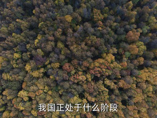 我國正處于什么階段