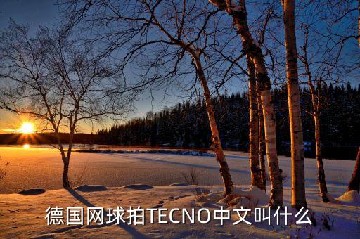 德國(guó)網(wǎng)球拍TECNO中文叫什么
