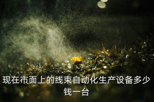 現在市面上的線束自動化生產設備多少錢一臺