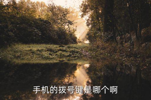手機的撥號鍵是哪個啊