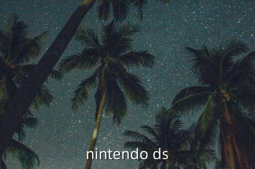 nintendo ds