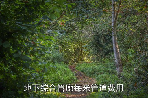 管廊圖片，地下綜合管廊每米管道費用