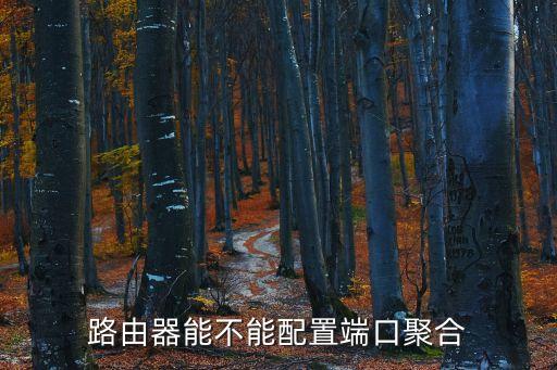 路由器能不能配置端口聚合