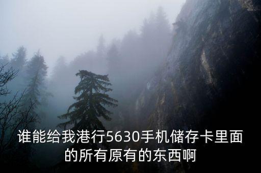 誰能給我港行5630手機(jī)儲存卡里面的所有原有的東西啊
