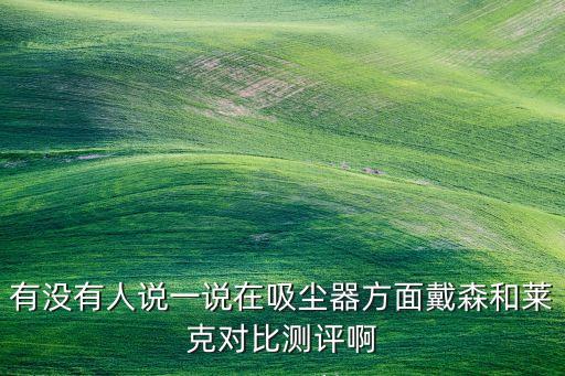 有沒有人說一說在吸塵器方面戴森和萊克對比測評啊