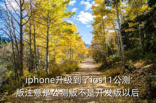 iphone升級(jí)到了ios11公測(cè)版注意是公測(cè)版不是開(kāi)發(fā)版以后